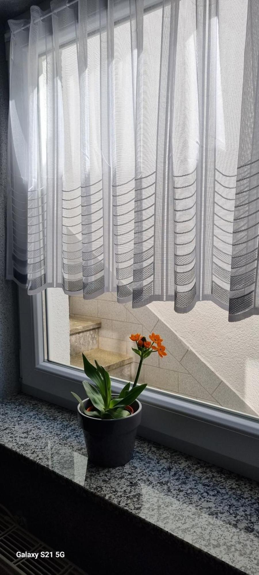 Ferienwohnung Elefanten Balingen Exterior foto