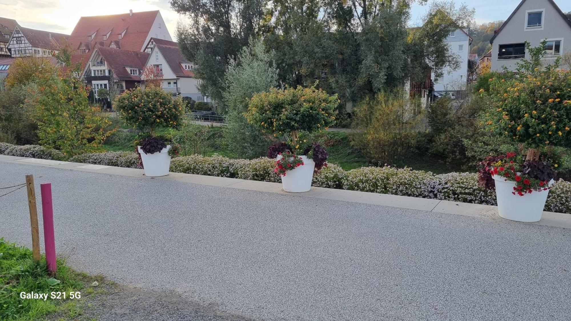Ferienwohnung Elefanten Balingen Exterior foto