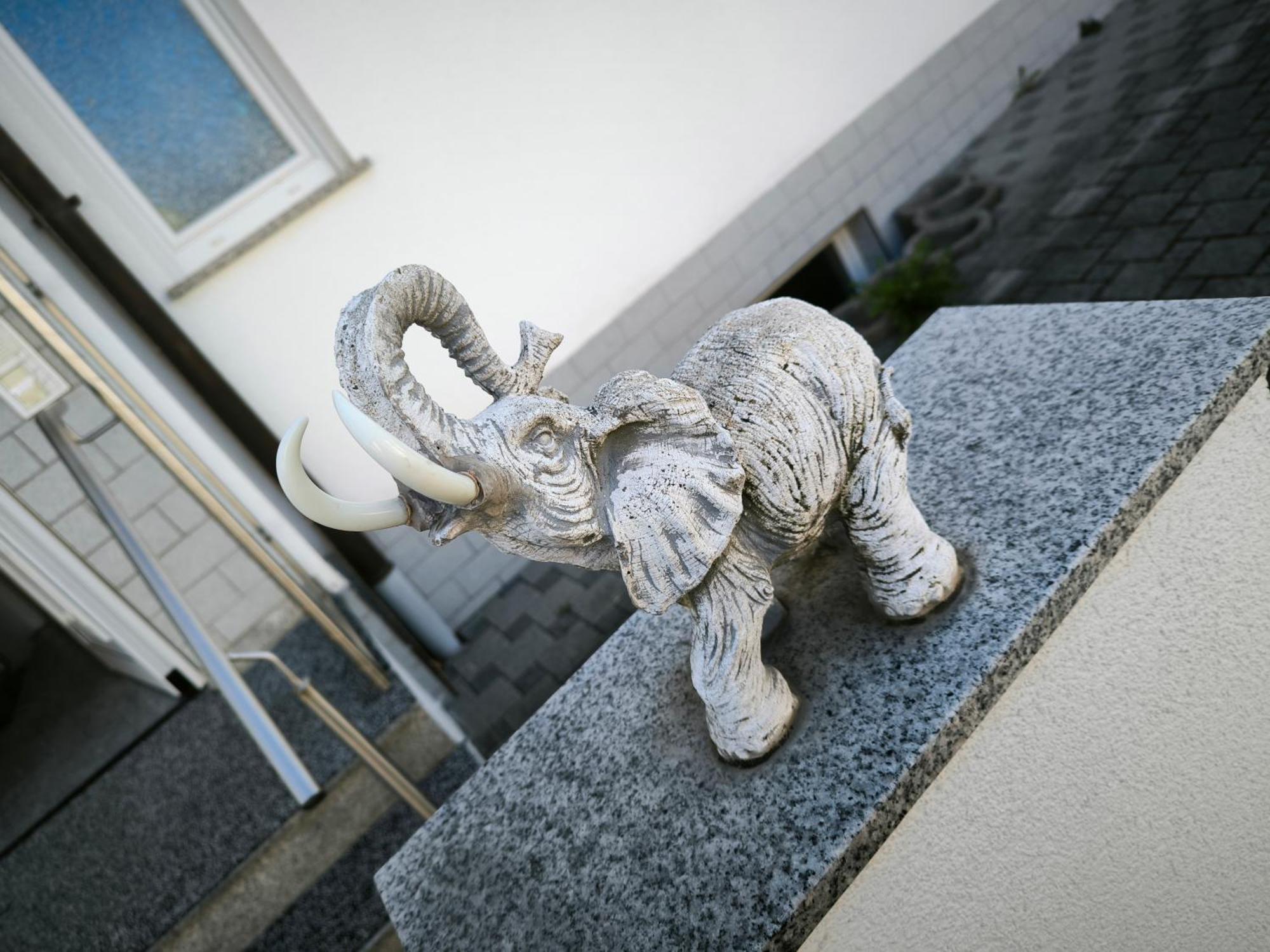 Ferienwohnung Elefanten Balingen Exterior foto